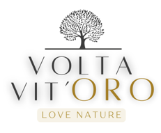 Volta Vit'ORO